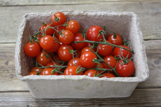 Cherry Tomatoes Riverford