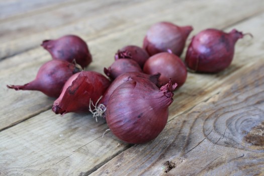 Small Red Onions