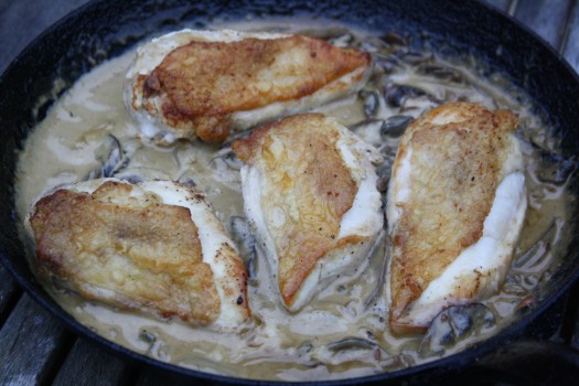 Roast Chicken Breast with Mushroom, Thyme and Cream Sauce 2